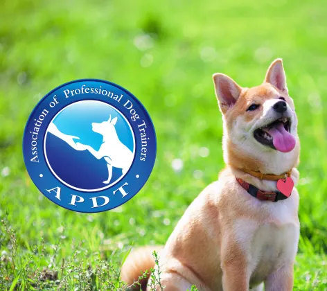 Dog sitting APDT logo