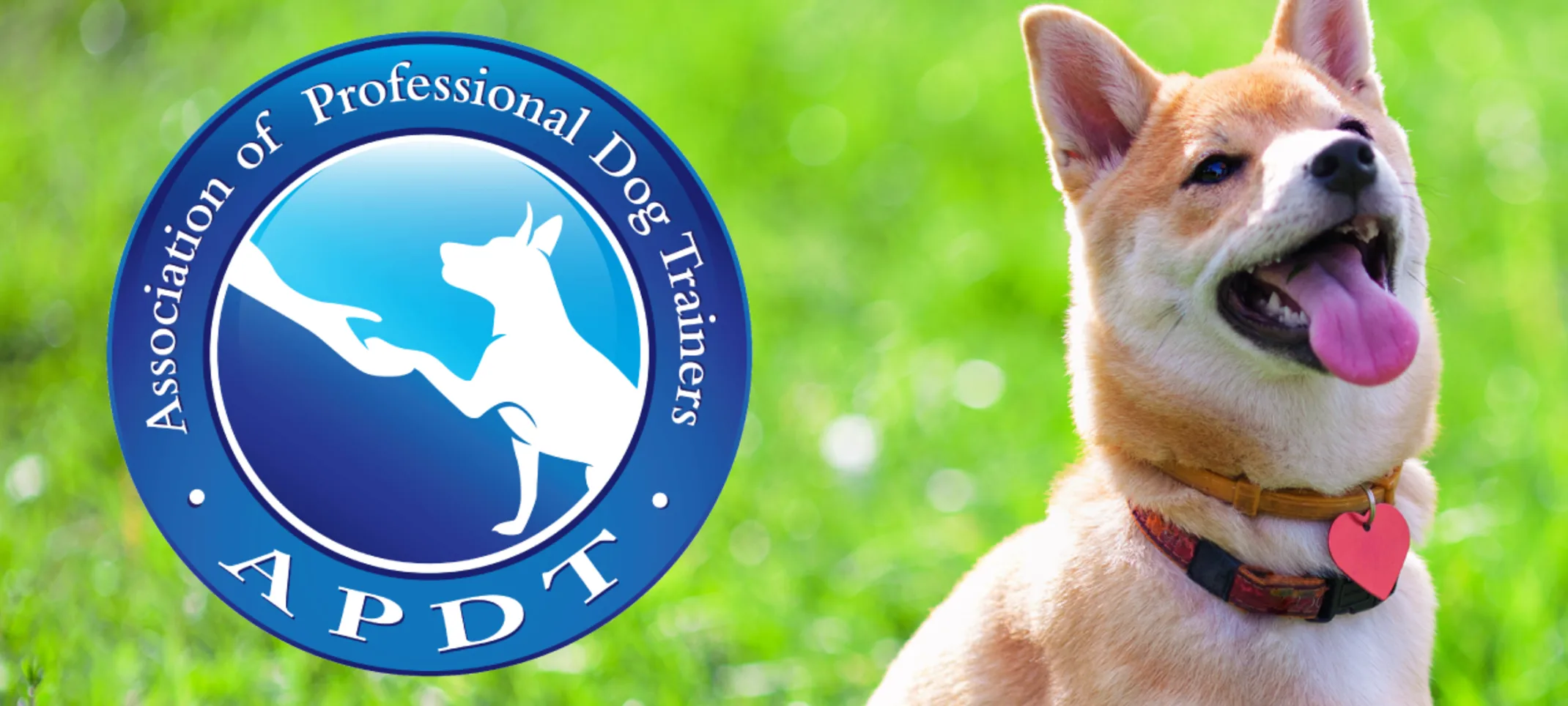 Dog sitting APDT logo