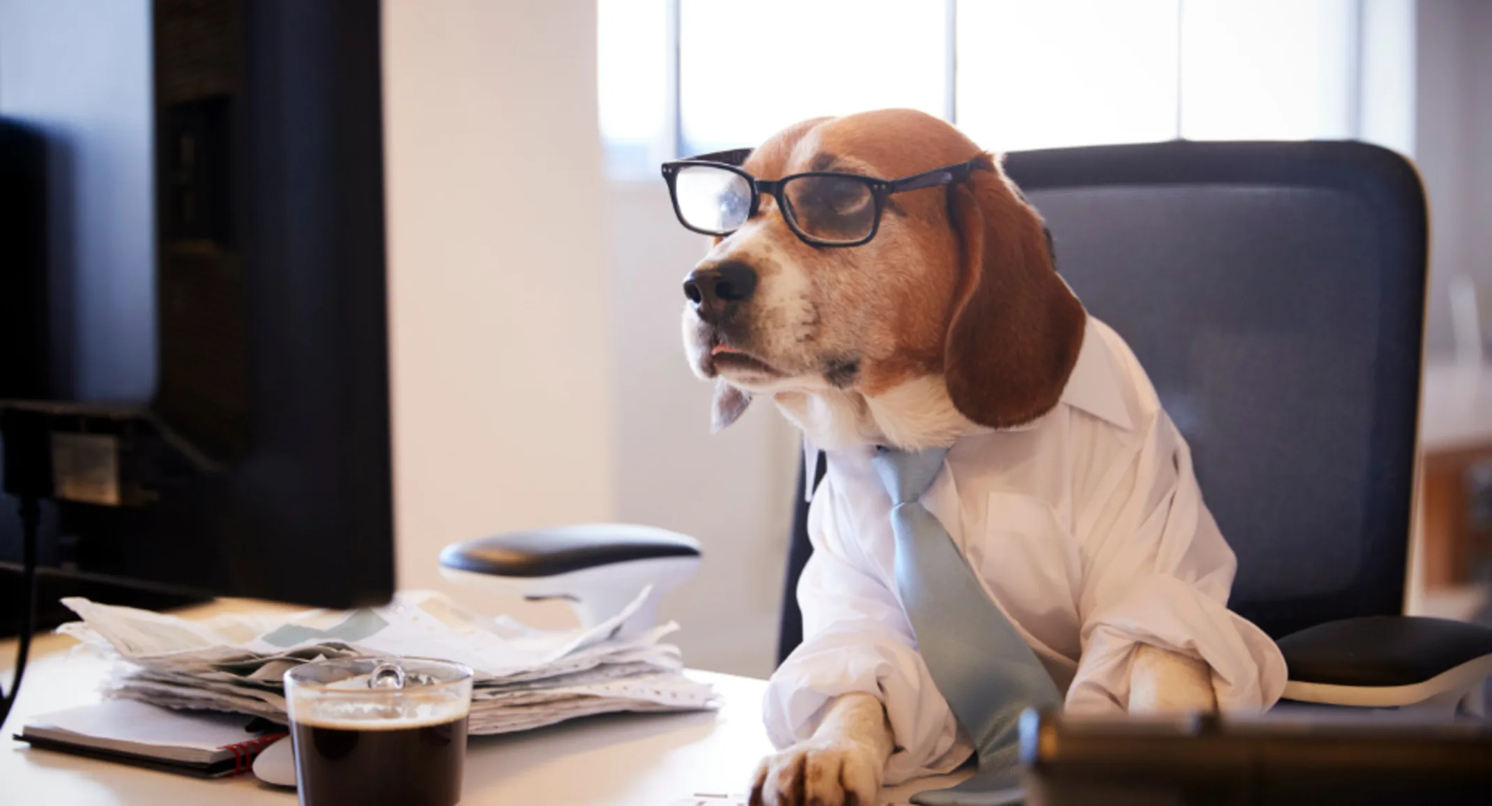 Dog Wearing Glasses Using a Computer Dog Wearing Glasses Using a Computer