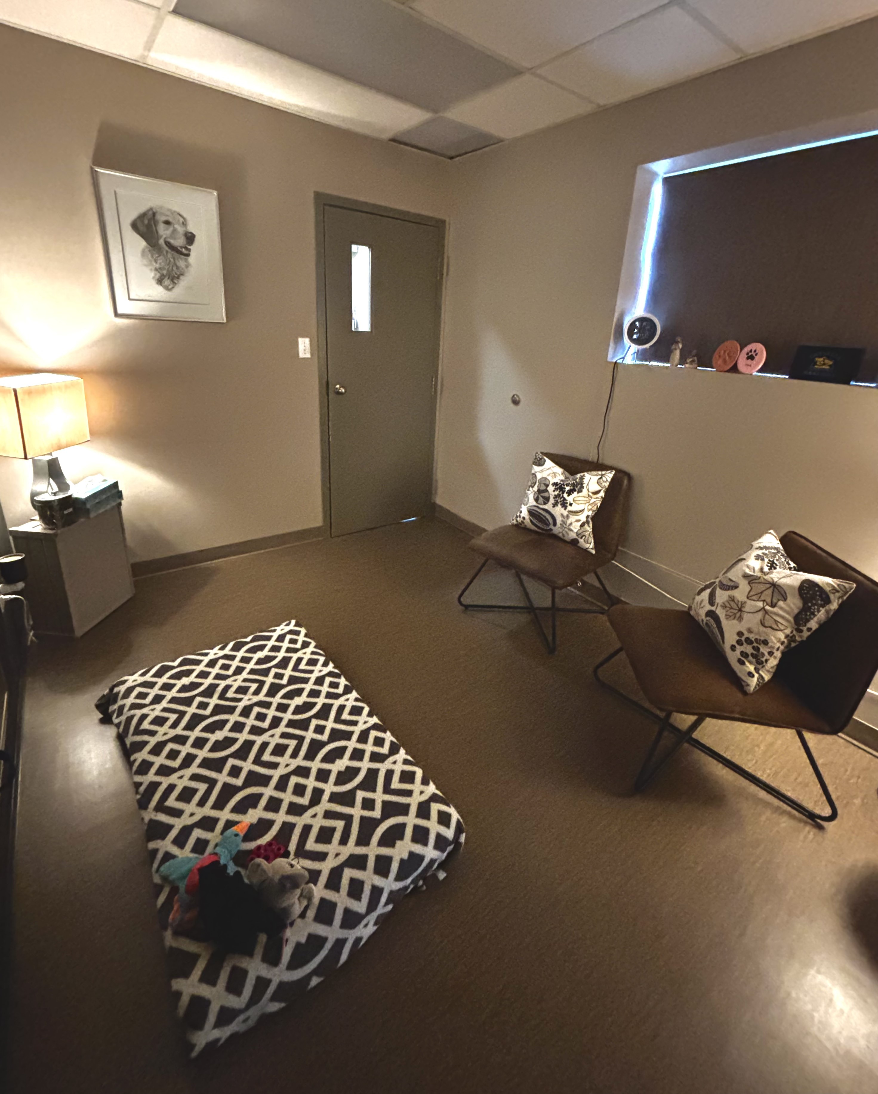 Comfort room with window