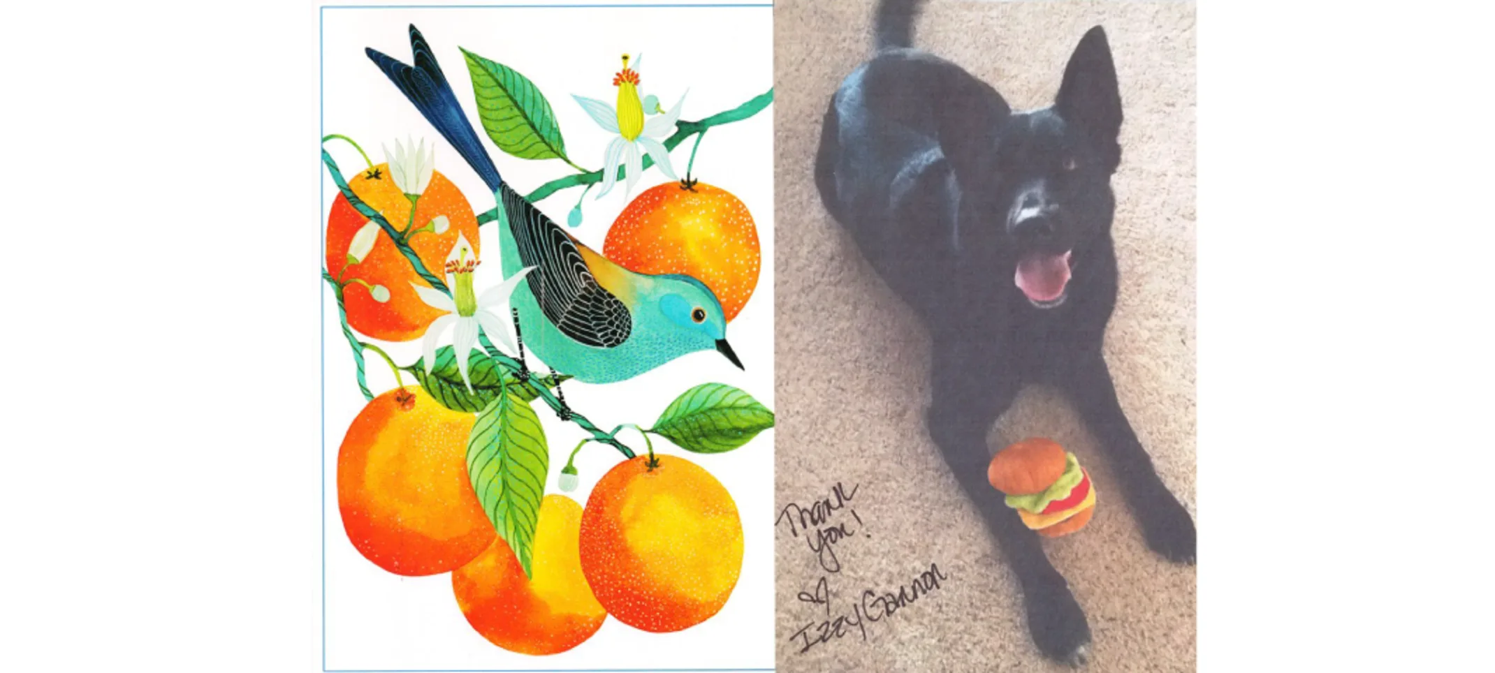 Thank you card with picture of dog Thank you card with picture of dog