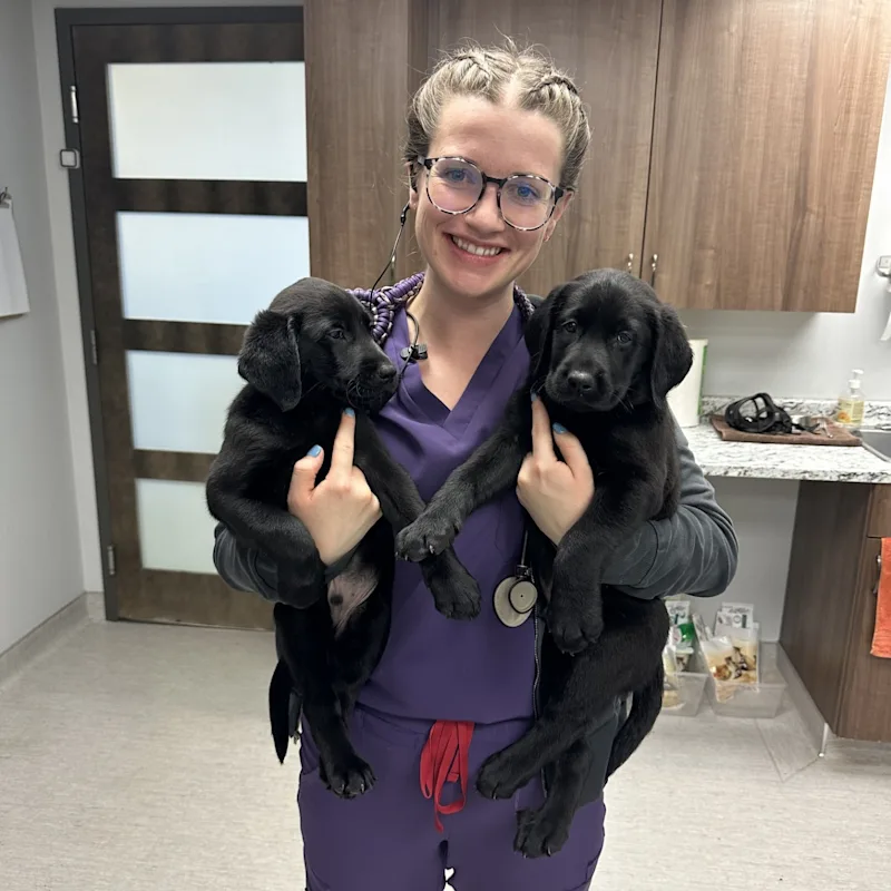 Jamie Maio Jamie Maio