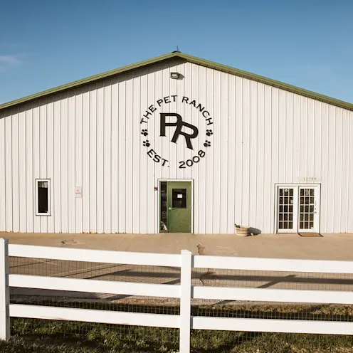 Gallery | The Pet Ranch