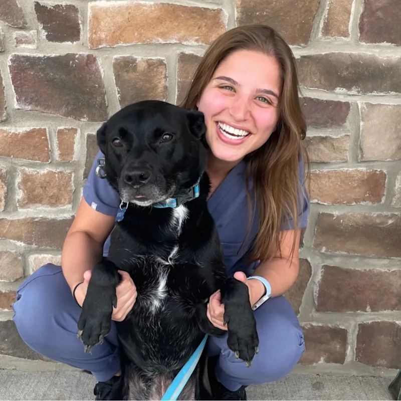 Dr. Madissen Bernstein Dr. Madissen Bernstein