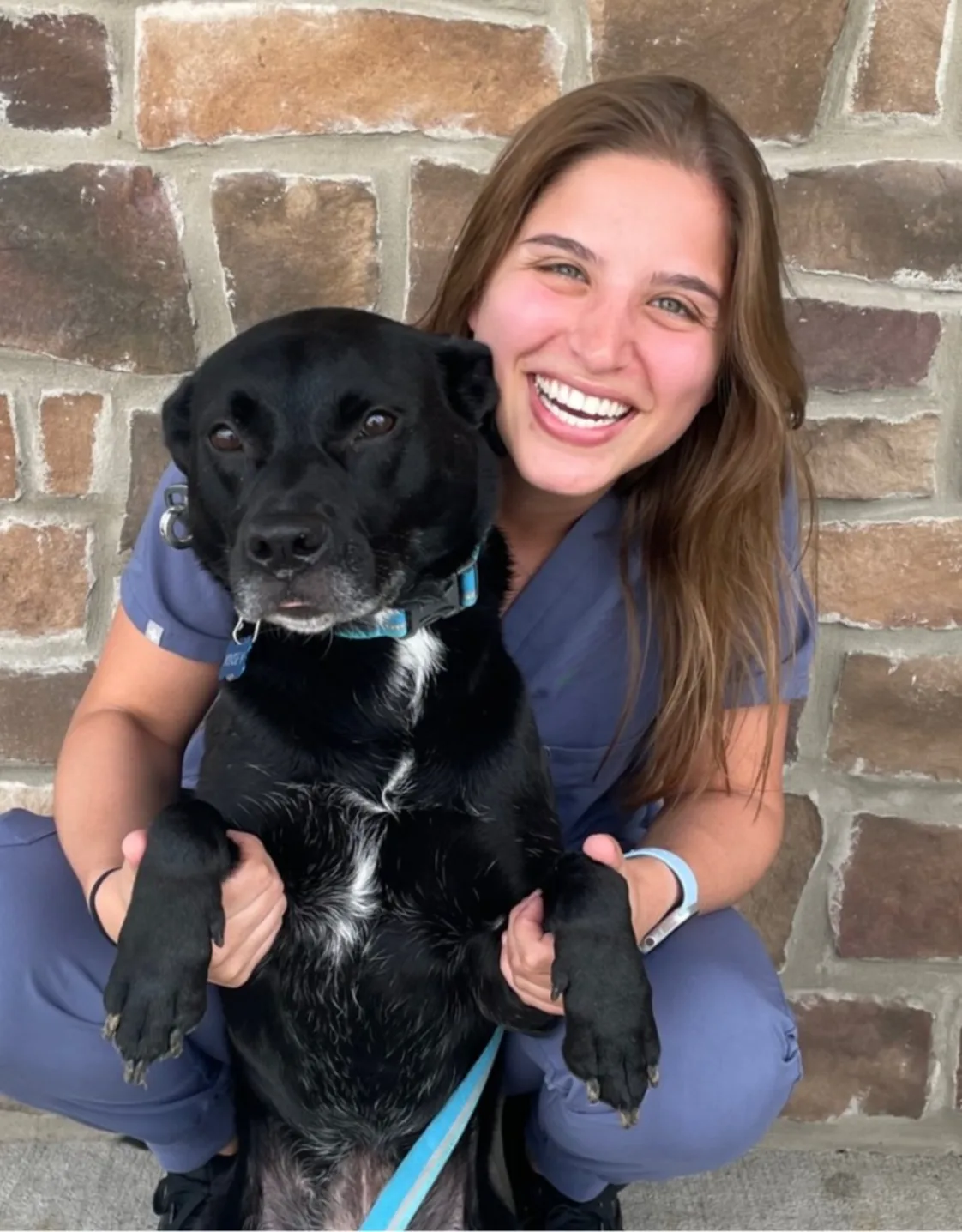 Dr. Madissen Bernstein Dr. Madissen Bernstein