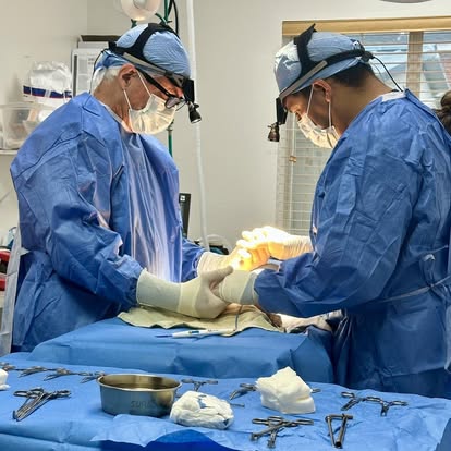 Two DVMs Working Together During Surgery