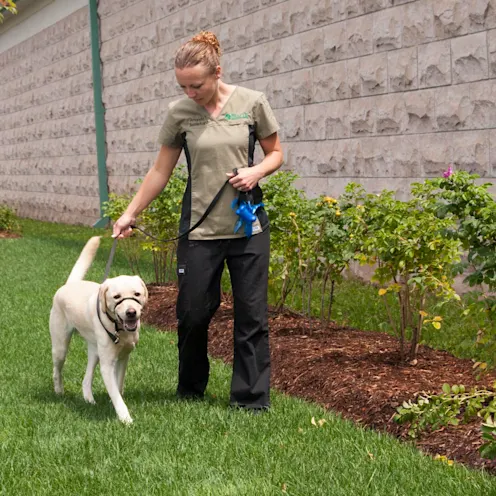 comfort area comfort area