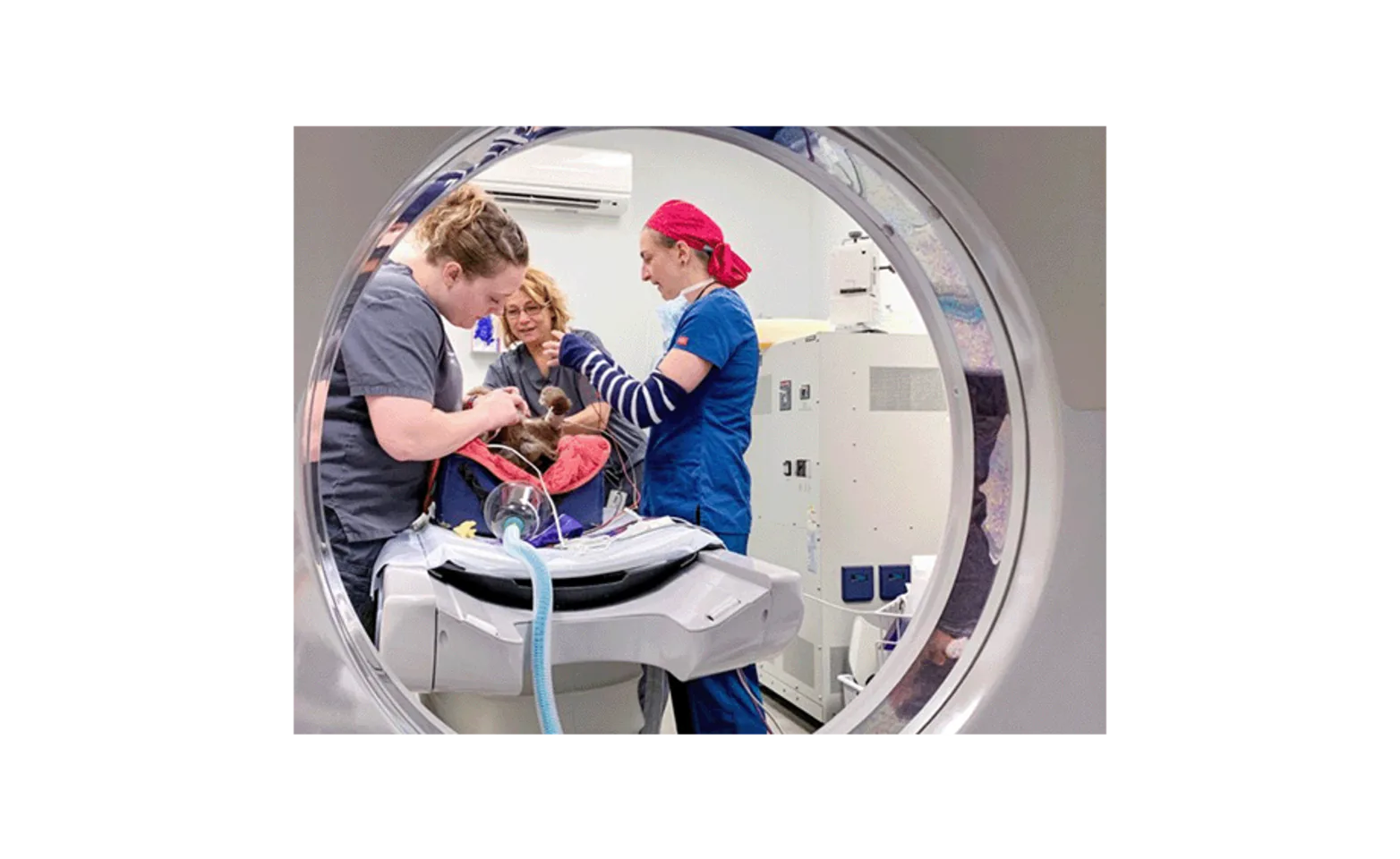 Staff members in an operation Staff members in an operation