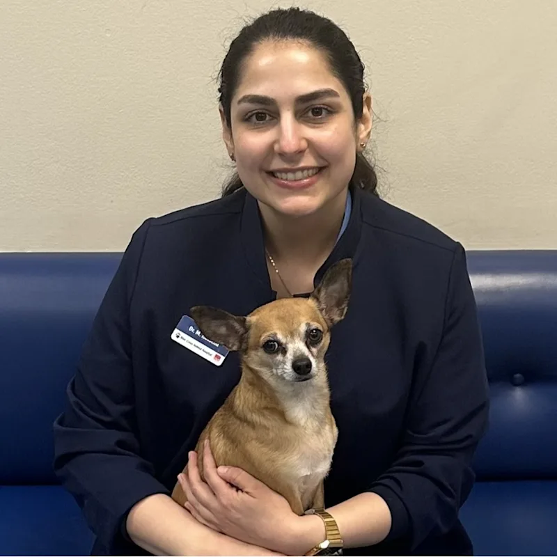 Dr. Mina Hosseini Dr. Mina Hosseini