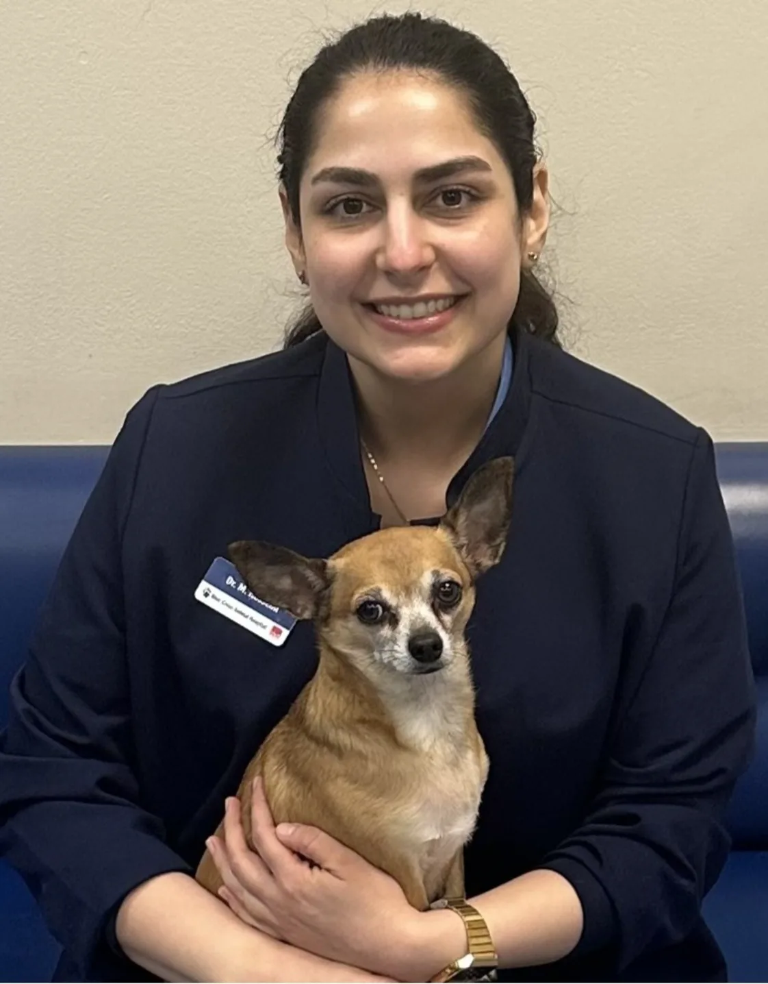 Dr. Mina Hosseini Dr. Mina Hosseini