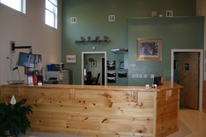 A comfortable reception area where you will find hot coffee and hot chocolate welcomes you.