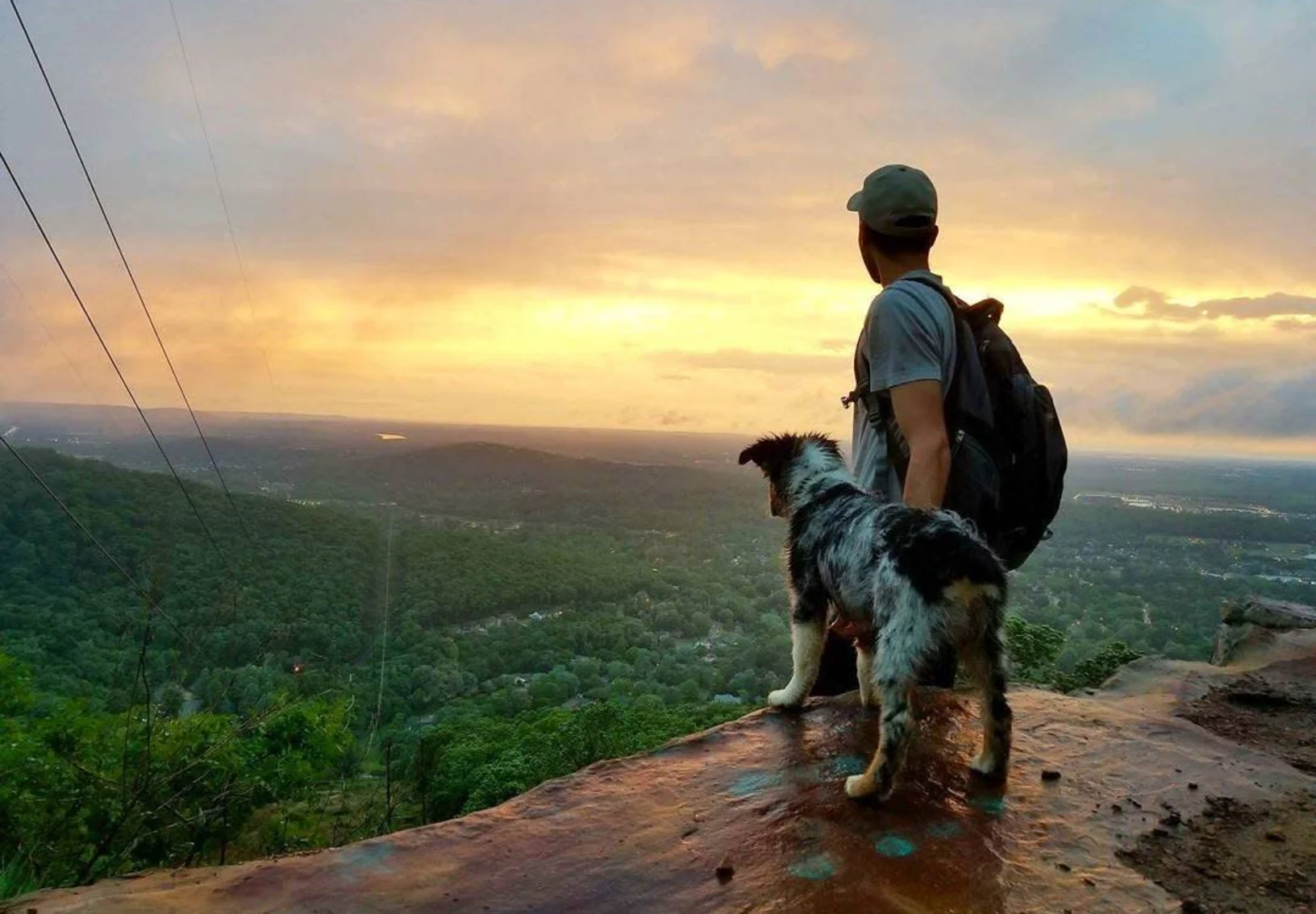 Man and dog standing on cliff looking over the forest