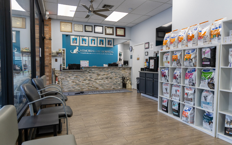 View of Front Receptionist Desk