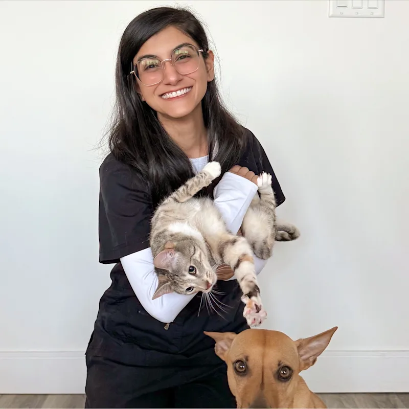 New Staff Member New Staff Member