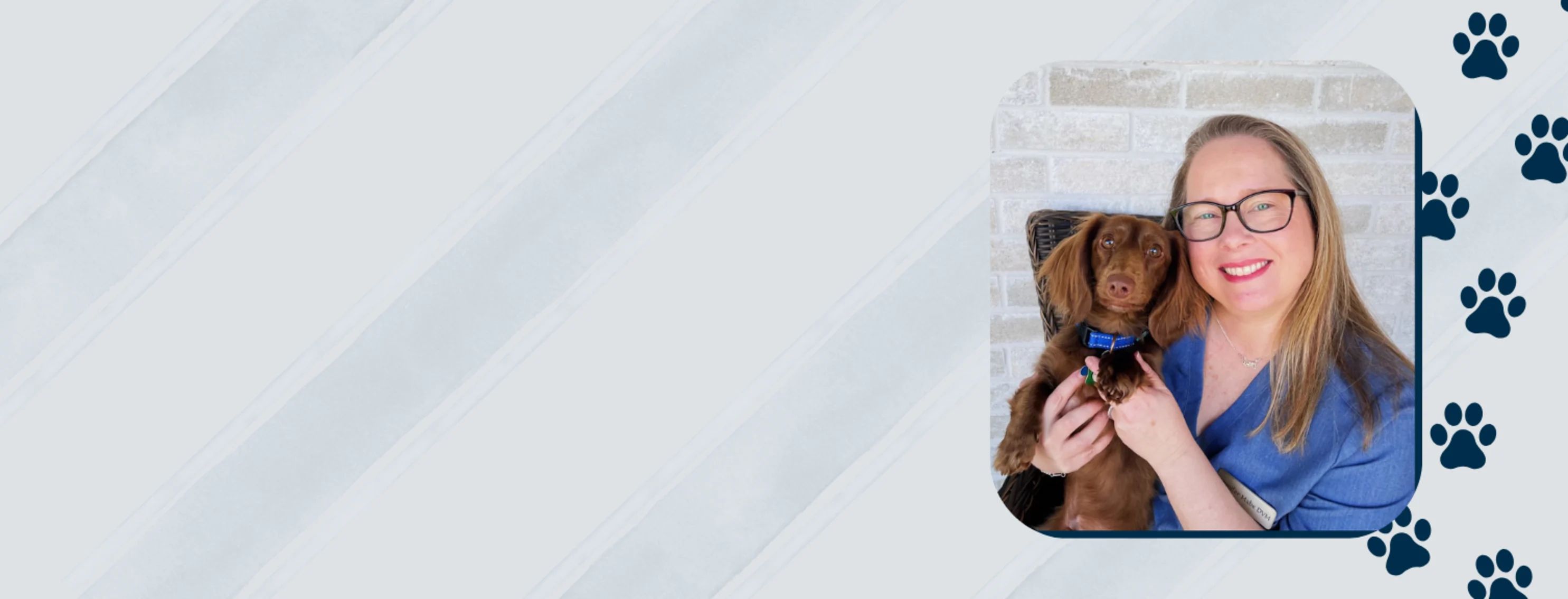 Welcome Dr. Jennifer Mabe to Our Veterinary Family! Welcome Dr. Jennifer Mabe to Our Veterinary Family!