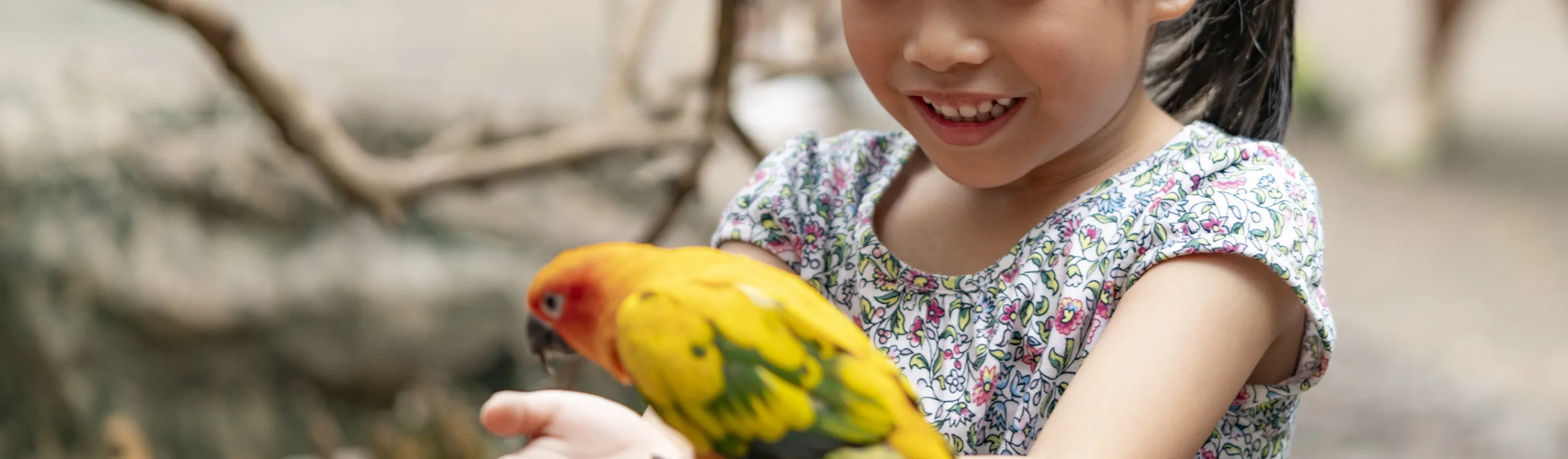 Exotic bird with a girl and sticks