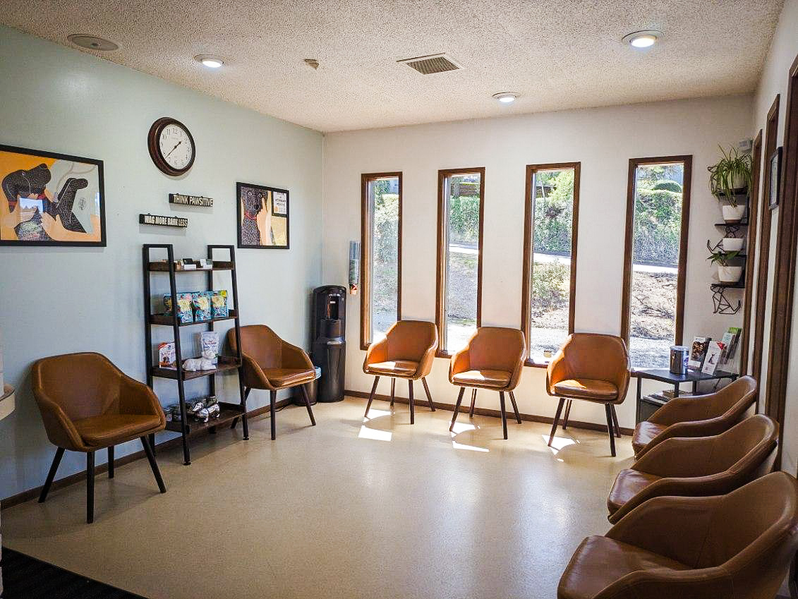 Reception desk area at Canterbury Animal Hospital