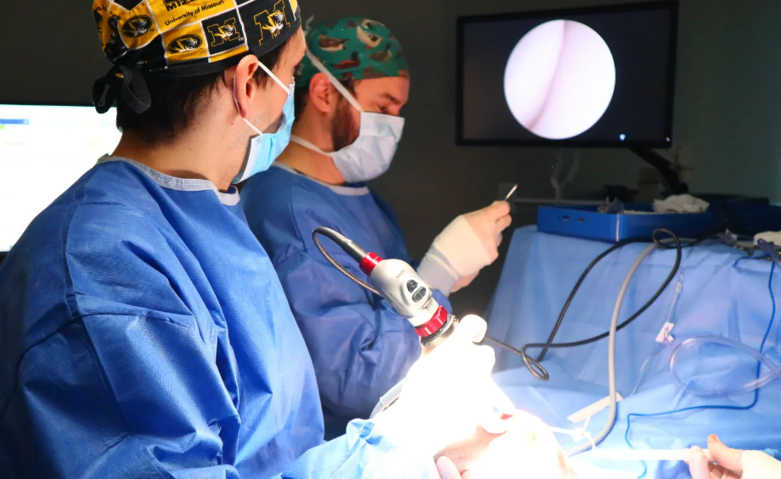 Two veterinarians performing surgery Two veterinarians performing surgery