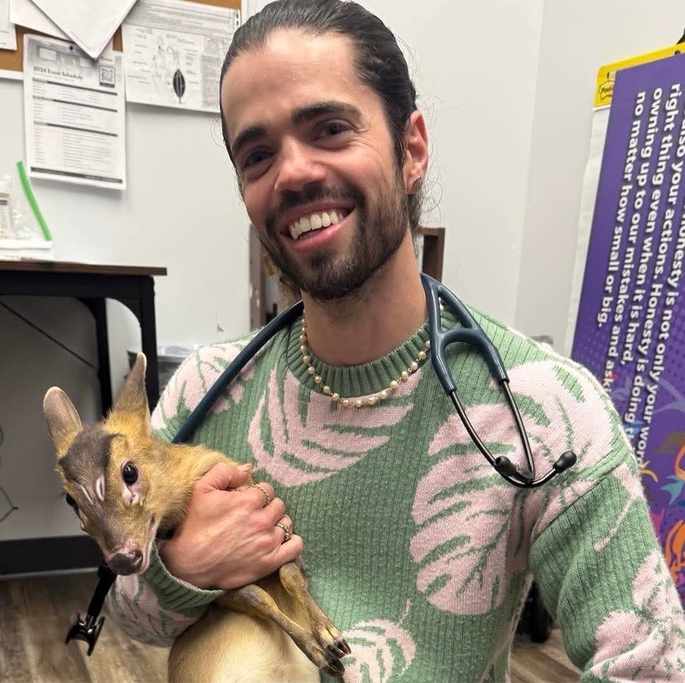 Meghan Armstrong holding a white bunny