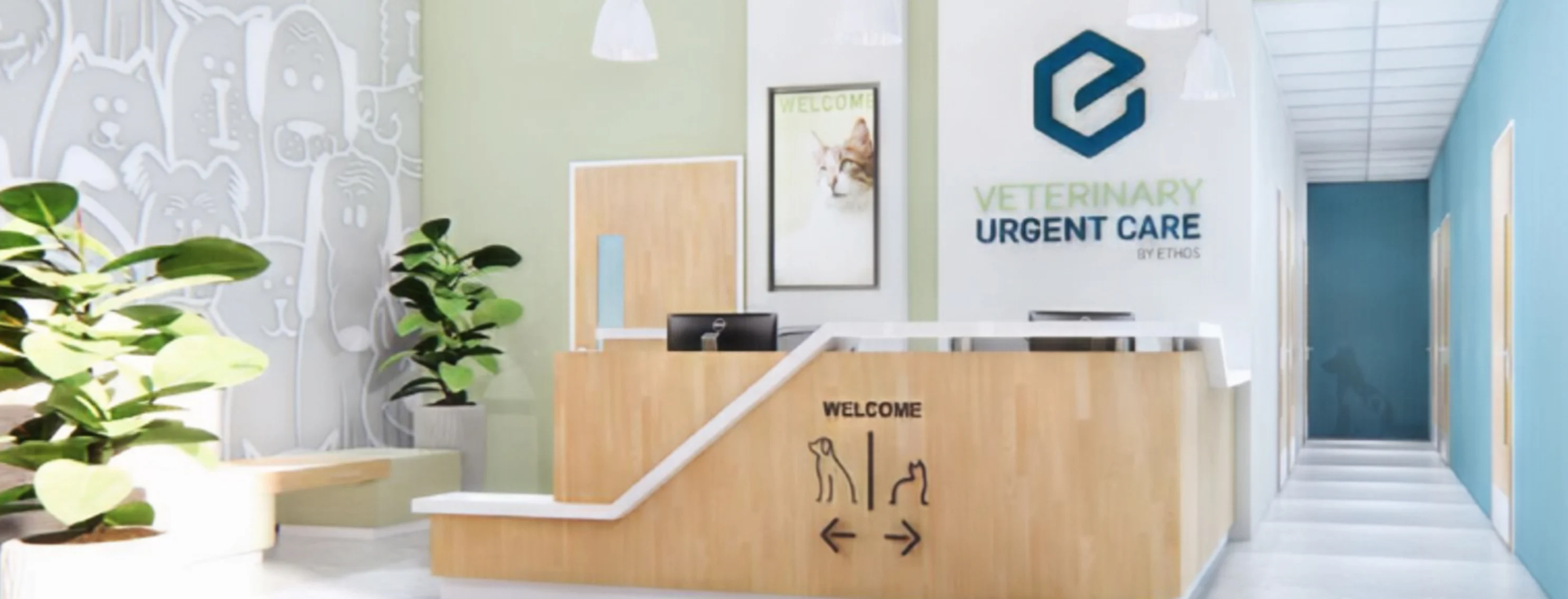 A concept for a Veterinary Urgent Care lobby
