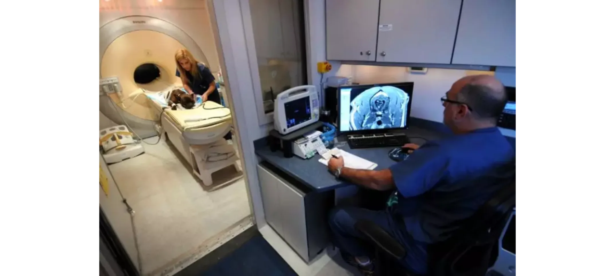 MRI Examination Dog undergoing an MRI examination