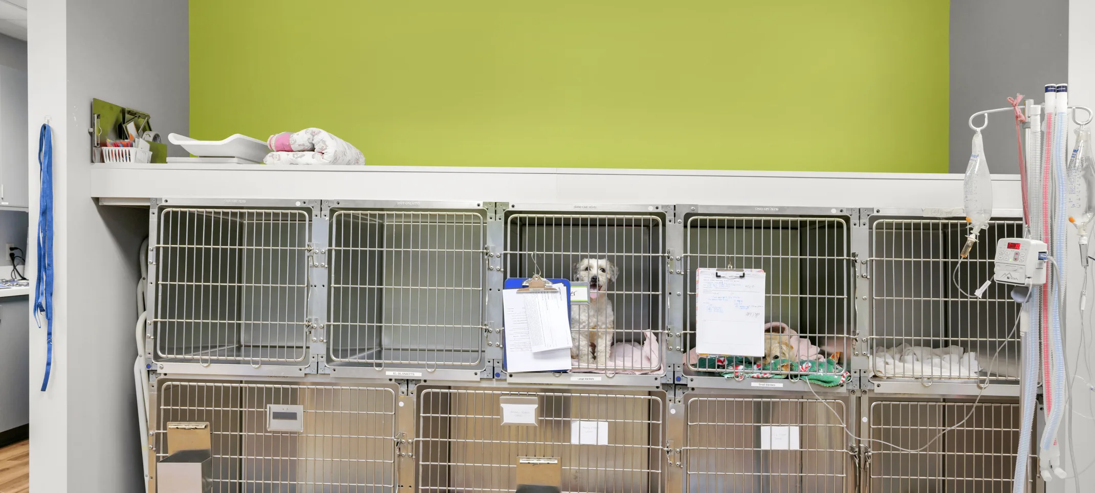 The Kennels at Tigard Animal Hospital