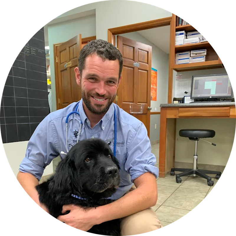 Dr. John Cooley at Waterville Veterinary Clinic Dr. John Cooley at Waterville Veterinary Clinic