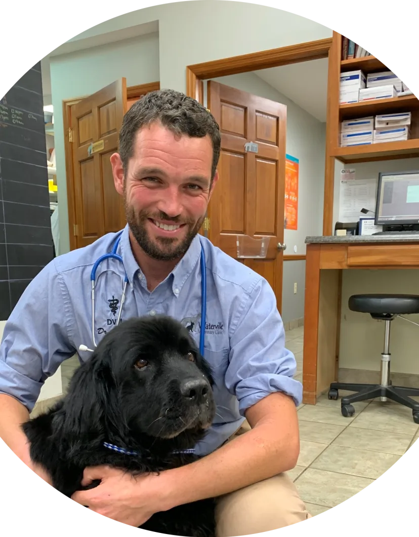 Dr. John Cooley at Waterville Veterinary Clinic