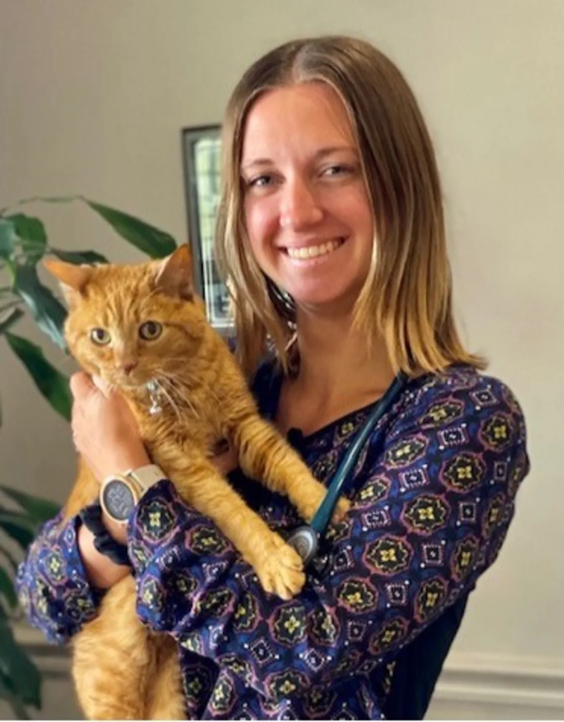 Dr. Madalyn Trowbridge holding an orange tabby cat Dr. Madalyn Trowbridge holding an orange tabby cat