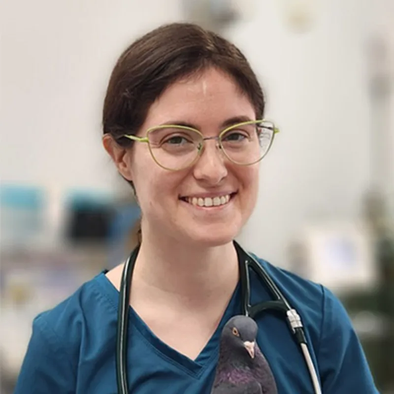 Dr. Sarah Cover Dr. Sarah Cover