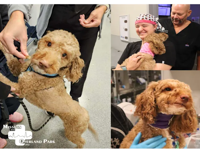 Sunny July Blog Image Sunny July Blog Image