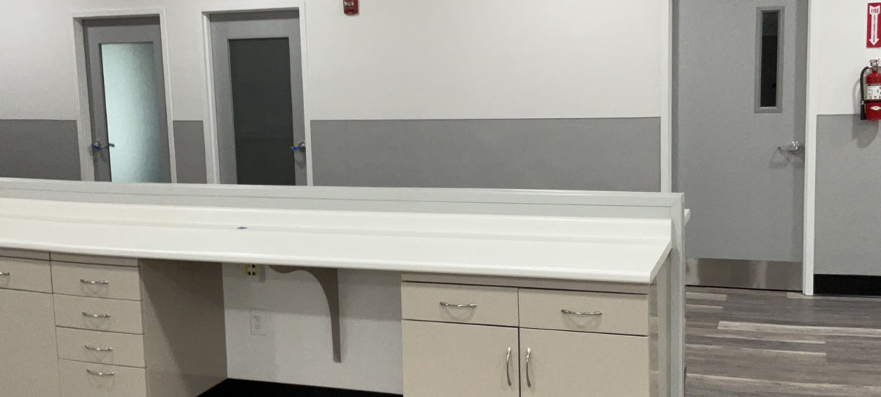 Counter space sitting with doors behind it 