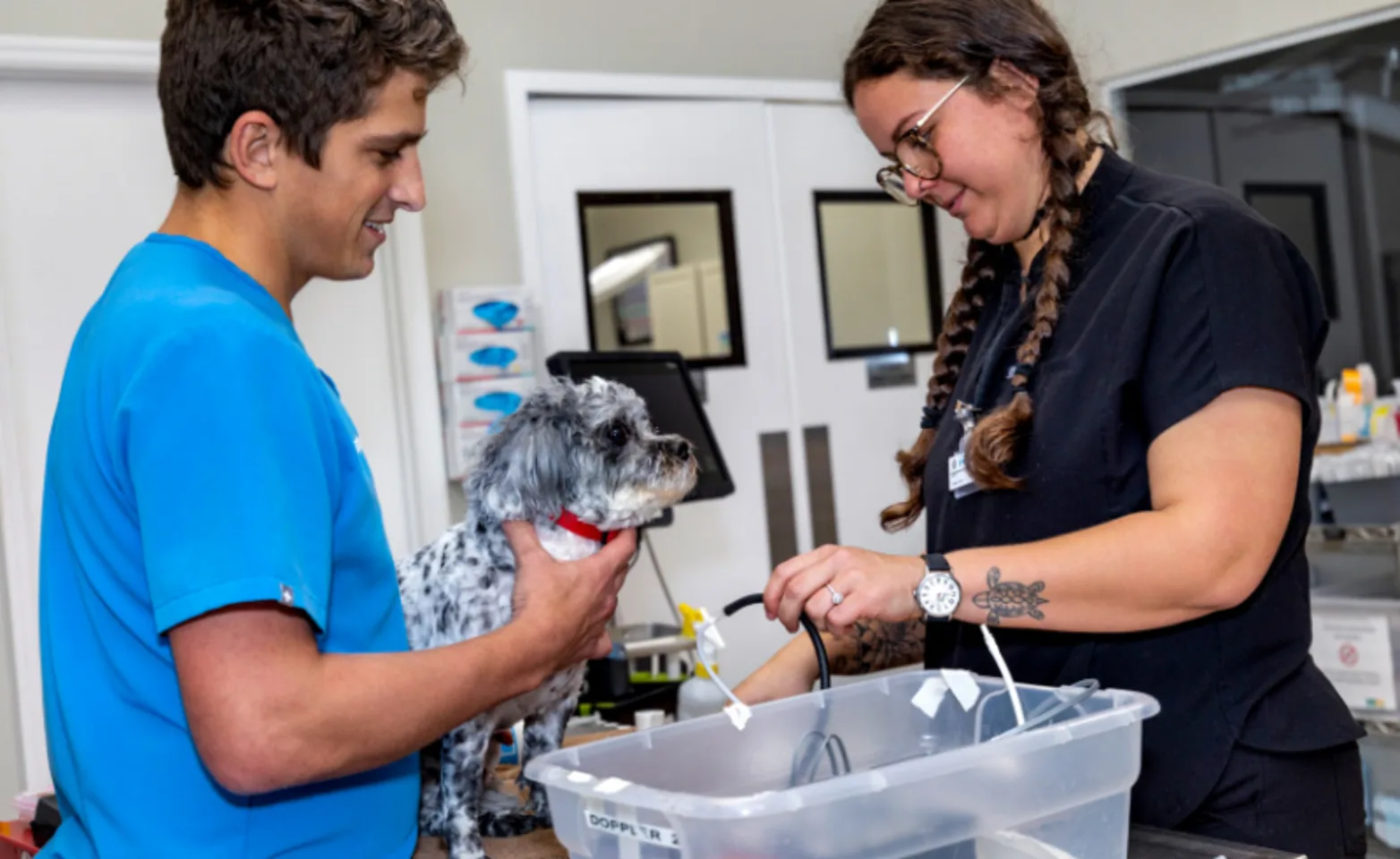 Staff With Small Gray Spotted Dog at the Animal Specialty & Emergency Center of Brevard Staff With Small Gray Spotted Dog at the Animal Specialty & Emergency Center of Brevard
