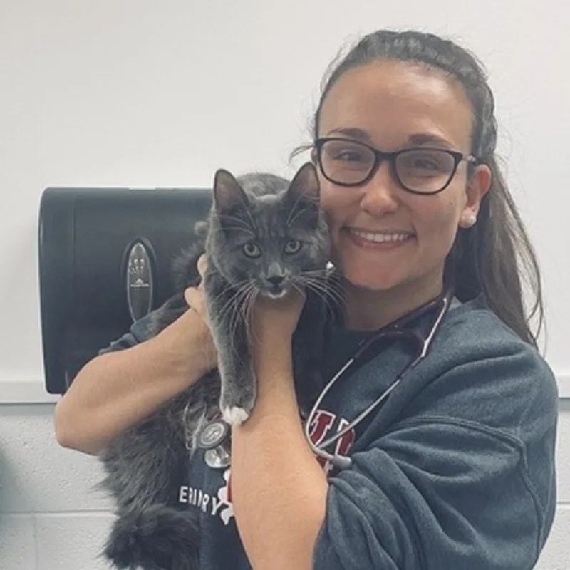 Lindsay Thomas Lindsay Thomas