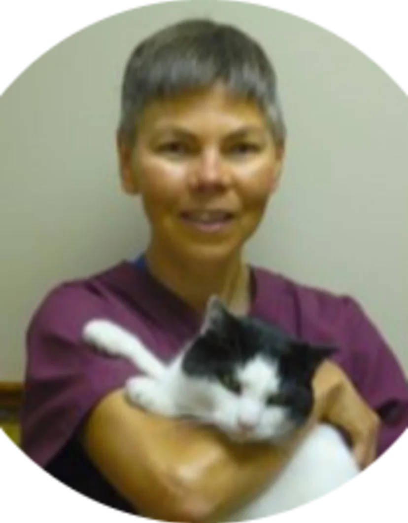 Dr. Diane Bennetts at Small Animal Hospital