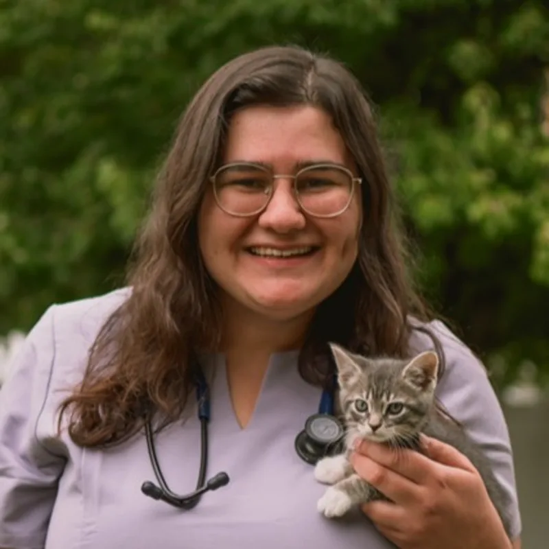 Sara Dutra Sara Dutra