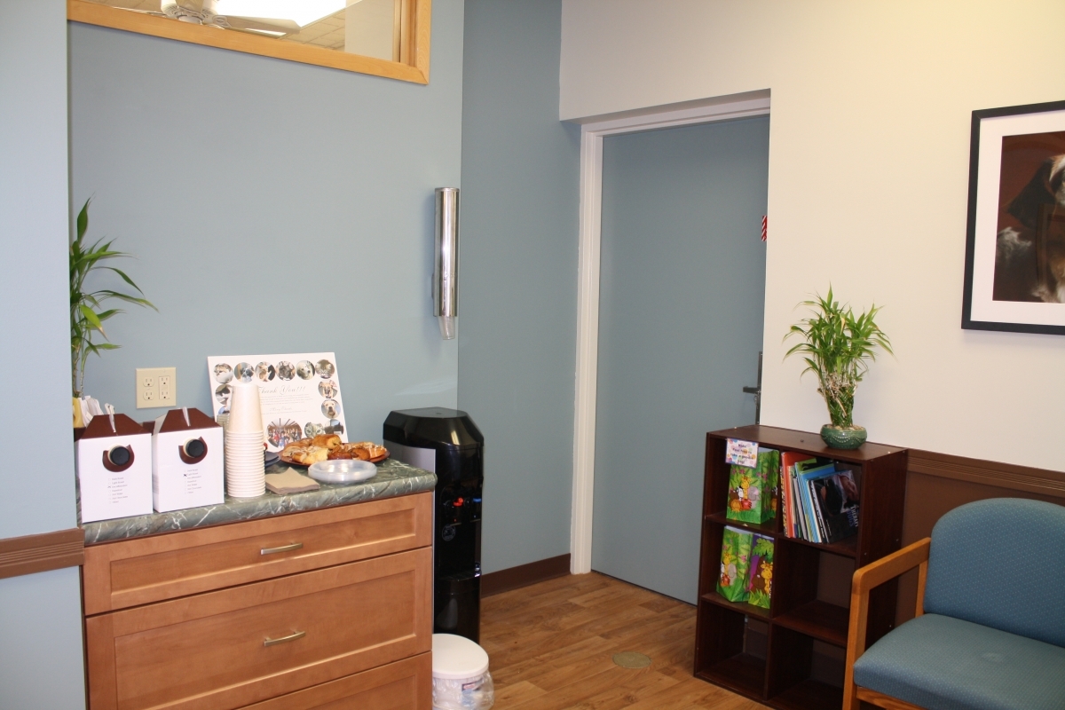 Waiting room with furniture and chairs inside of Northampton Veterinary Clinic 