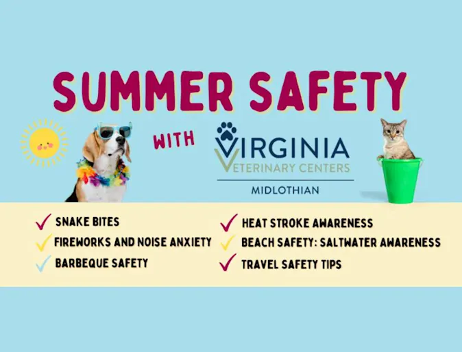 Summer Safety Blog Image Summer Safety Blog Image