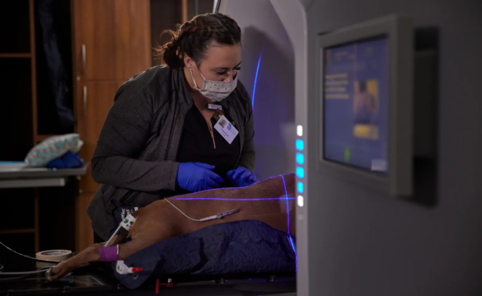 Vet utilizing heavy equipment for dog Vet utilizing heavy equipment for dog