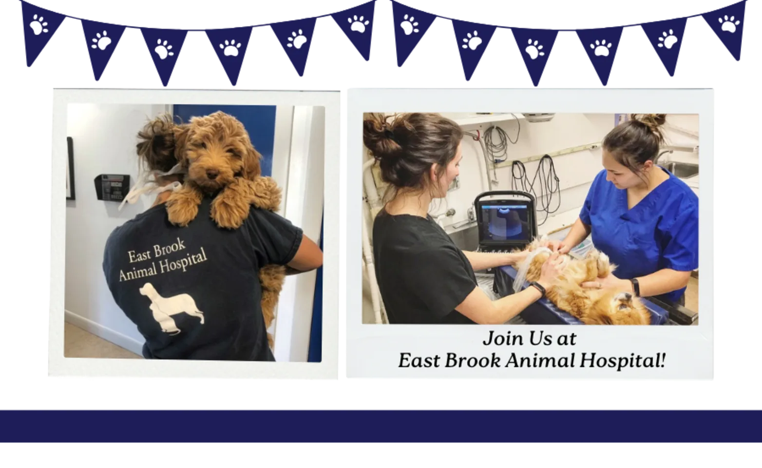 Join Our Team at East Brook Animal Hospital! Join Our Team at East Brook Animal Hospital!