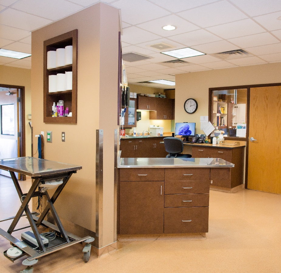 Treatment Room at Kindness Animal Hospital