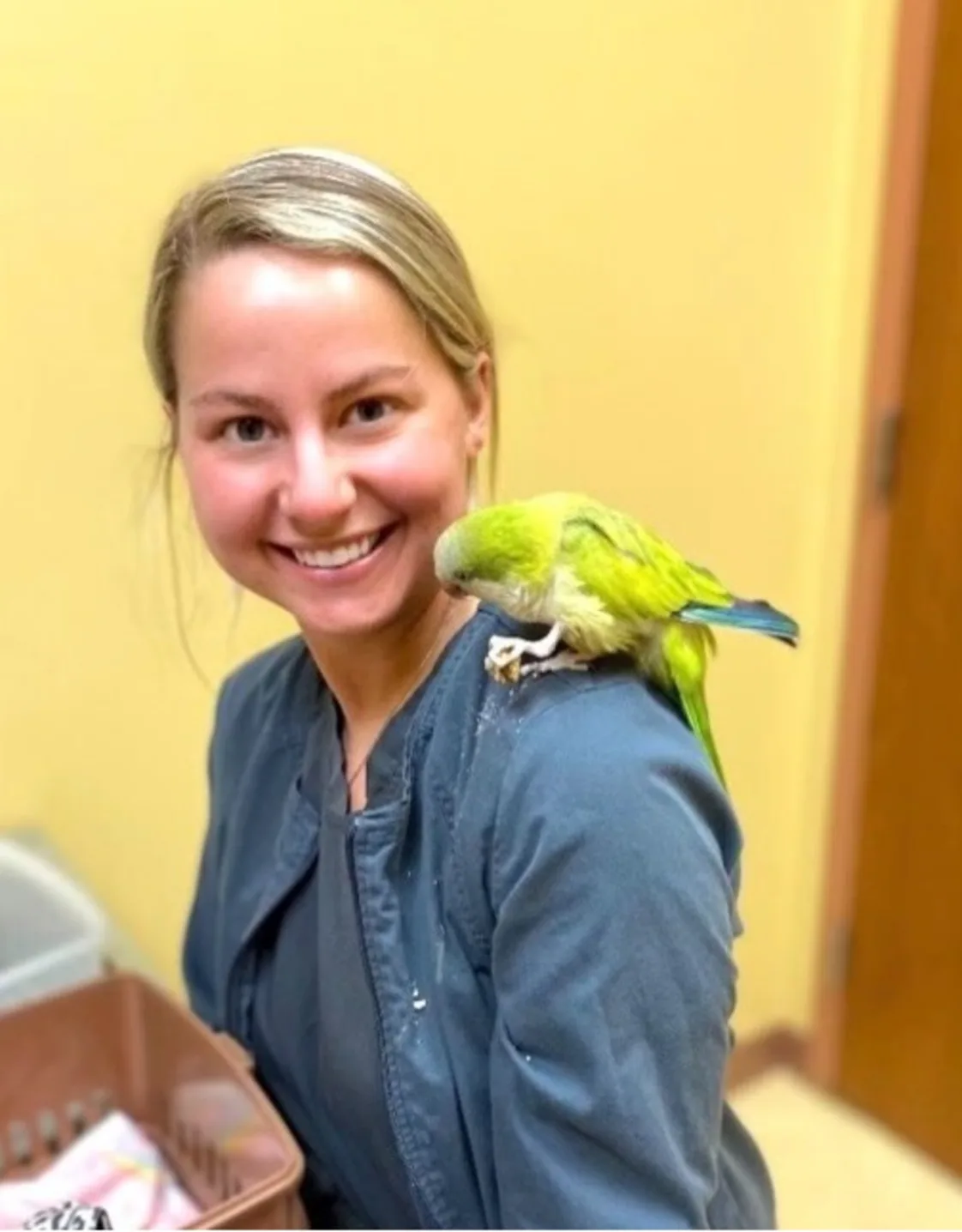 Veterinary Technician Kailee with a yellow bird. Veterinary Technician Kailee with a yellow bird.