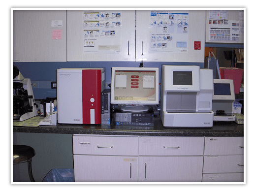 Staff area inside Forest Hill Animal Hospital