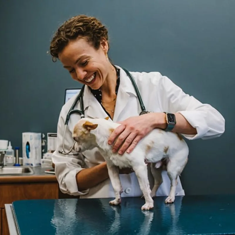 Dr. Katie Vagliano Dr. Katie Vagliano