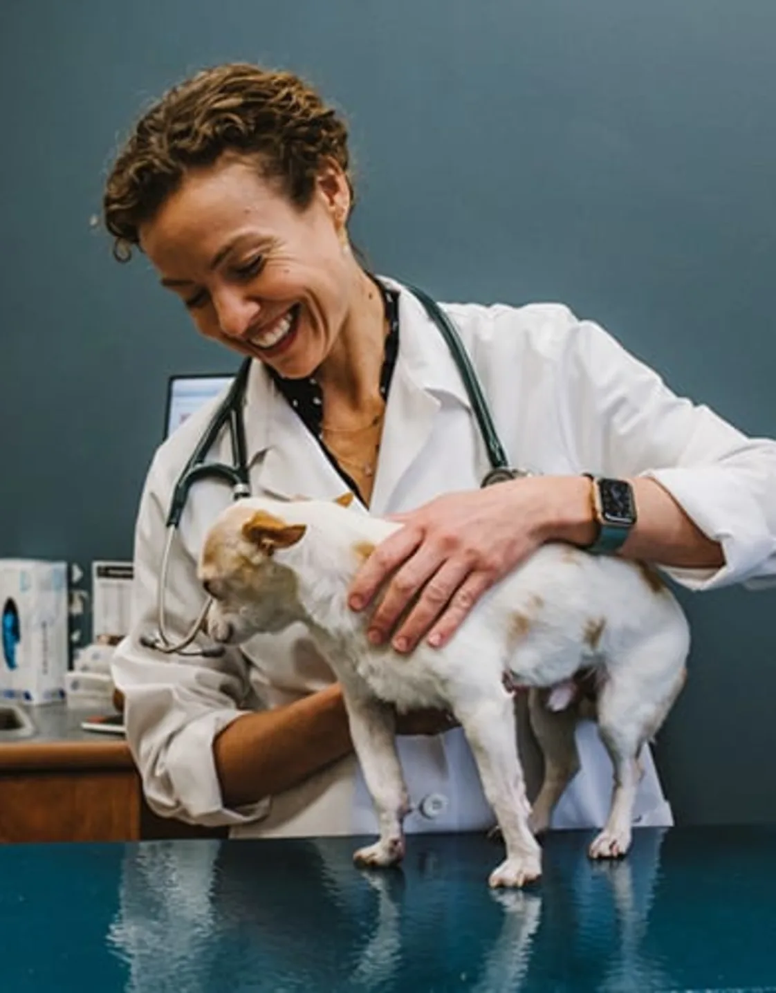 Dr. Katie Vagliano Dr. Katie Vagliano