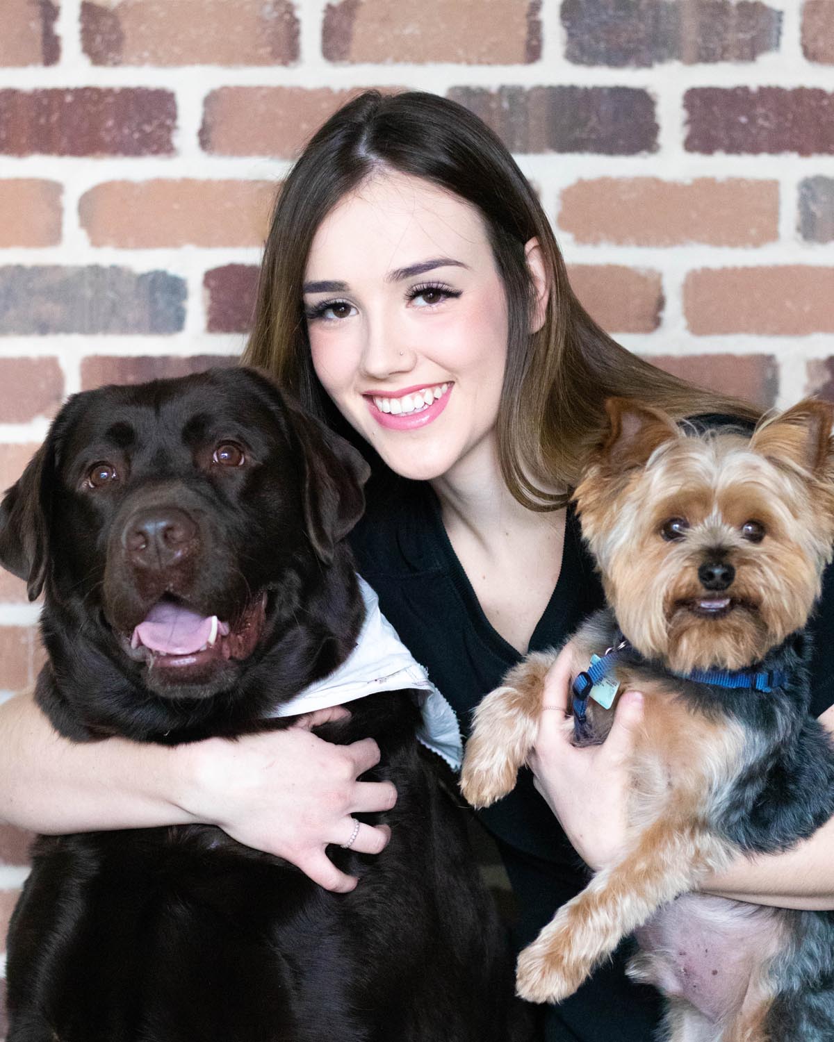 Piper Rose Valley Veterinary Hospital