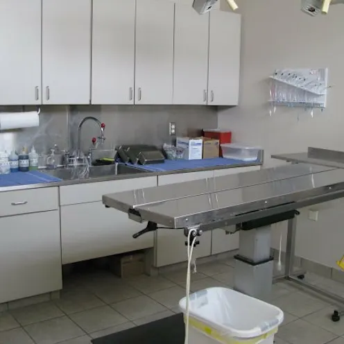 Windhaven Veterinary Hospital Surgical Suite including operating table and sink area Windhaven Veterinary Hospital Surgical Suite including operating table and sink area