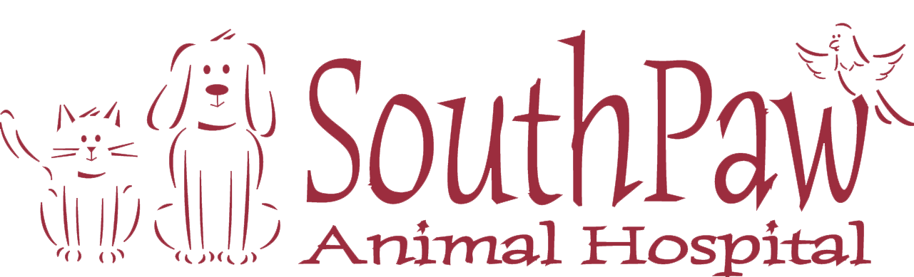 Client Forms | SouthPaw Animal Hospital