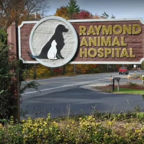 Raymond Animal Hospital's front signage outside their lawn area.