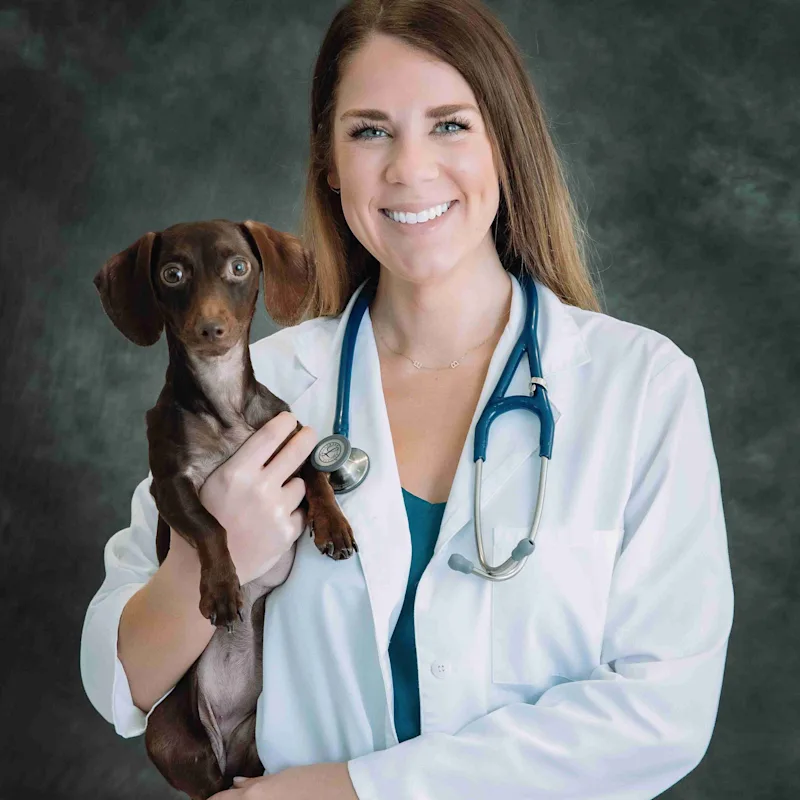 Dr. Jordan Whitfield Dr. Jordan Whitfield